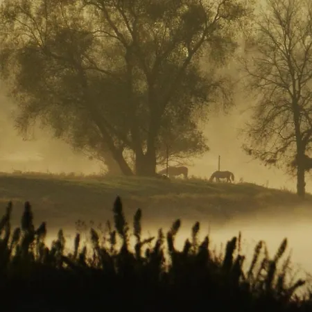 מלון Ristorante E Pensione La Campagnola 2*