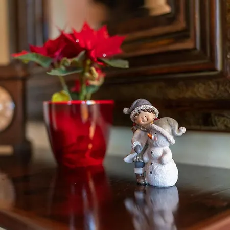 Ξενοδοχείο Ristorante E Pensione La Campagnola 2*