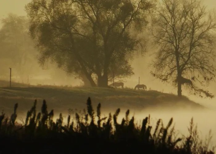 Ξενοδοχείο Ristorante E Pensione La Campagnola 2*